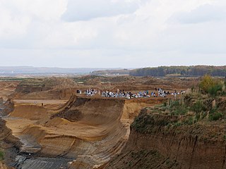 Tagebau Hambach mit dem gleichnamigen Forst im Hintergrund