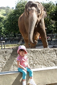 Elefant und kleines Kind